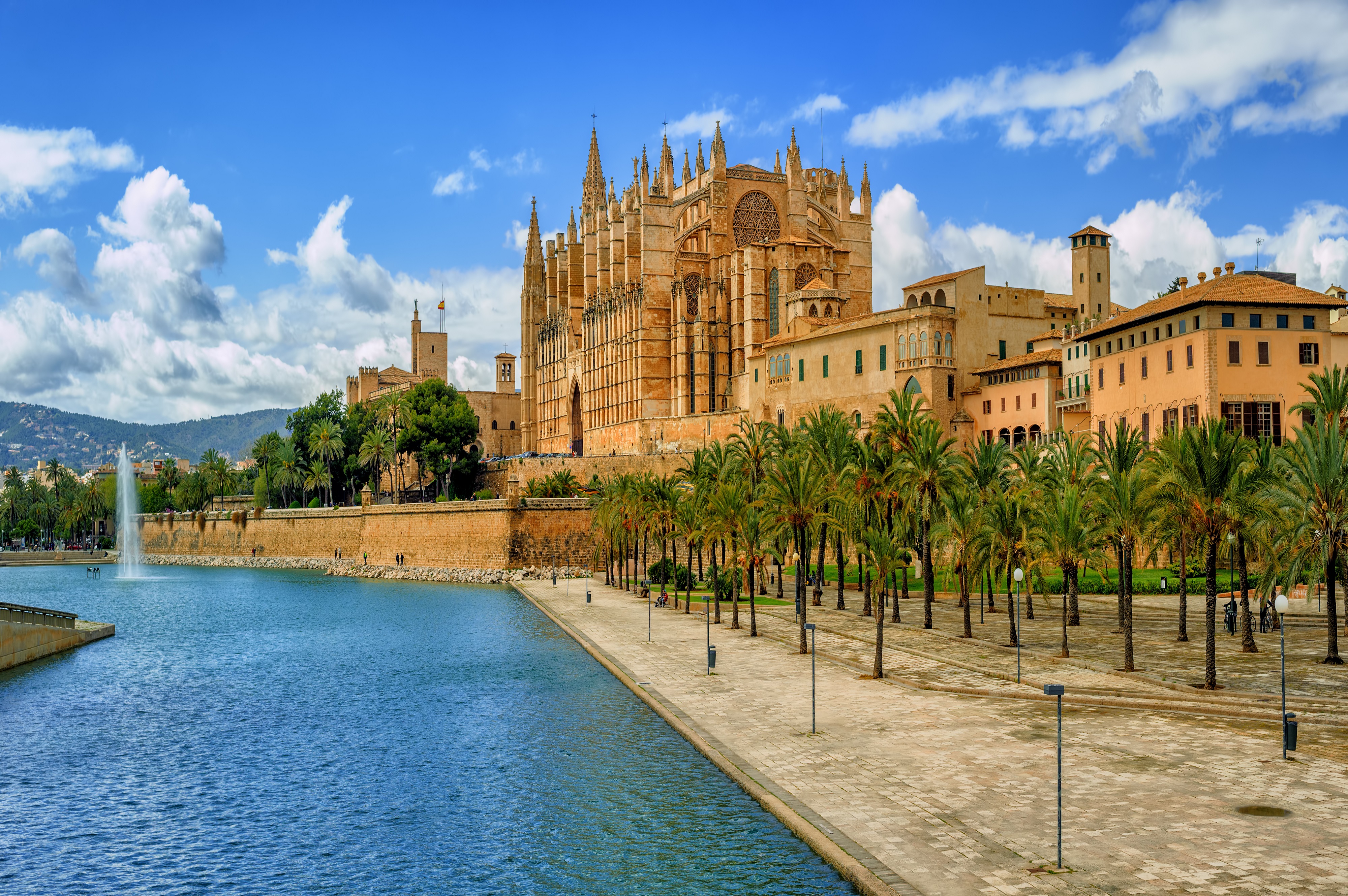 Palma