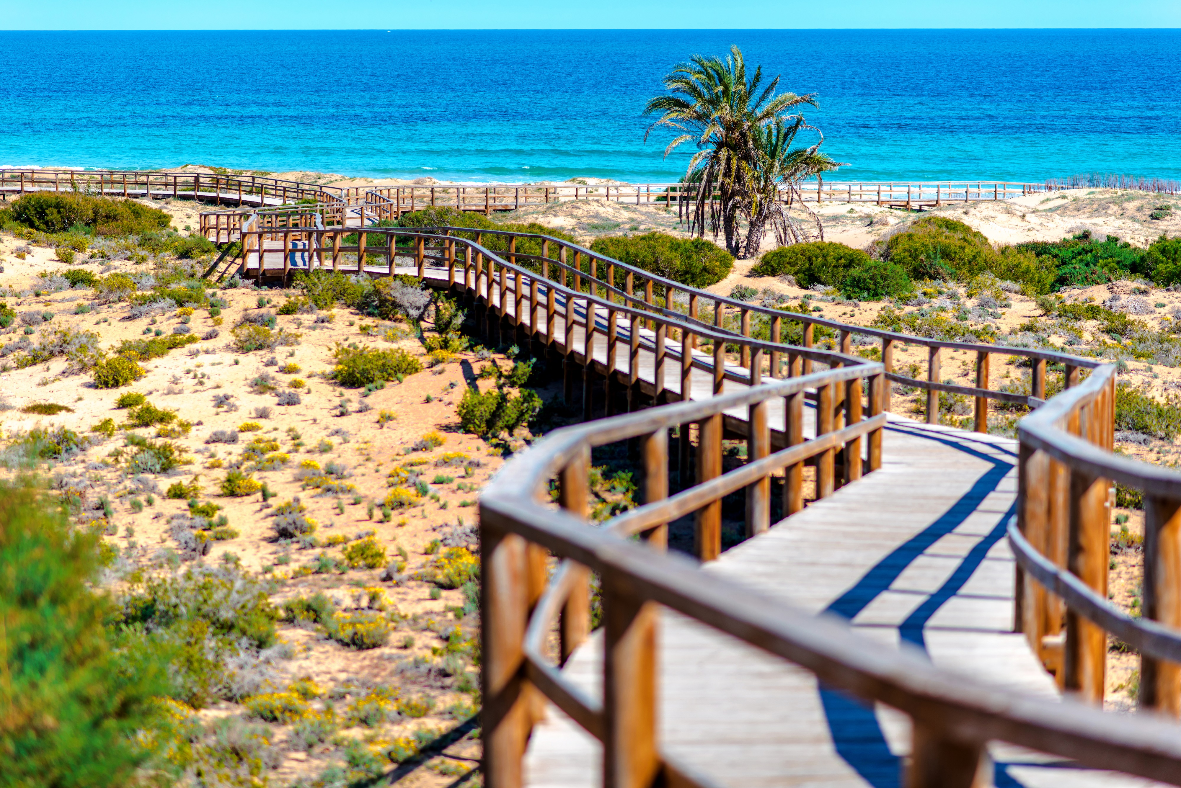 Torrevieja