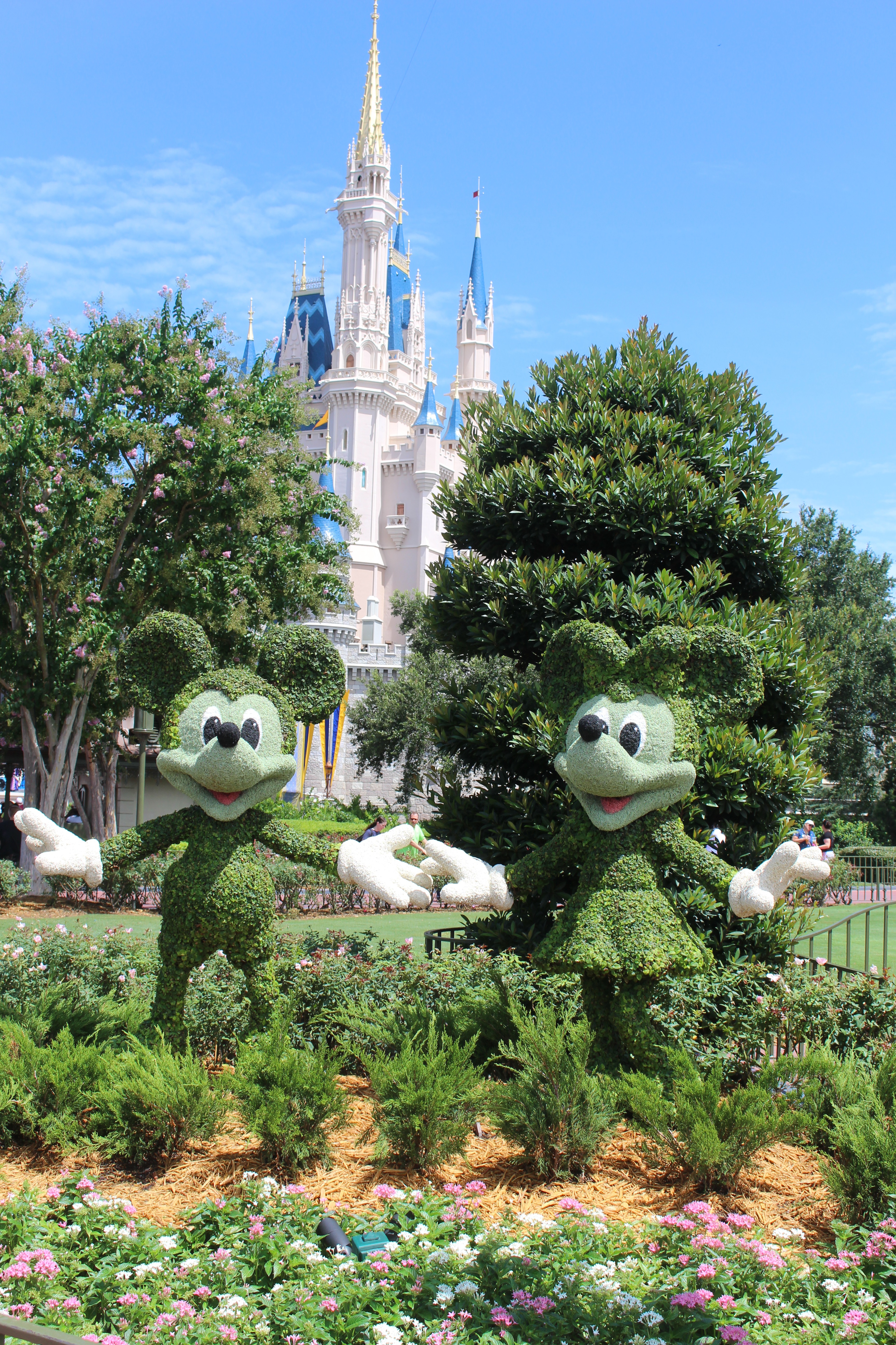 Best Pictures of Disneyworld Orlando