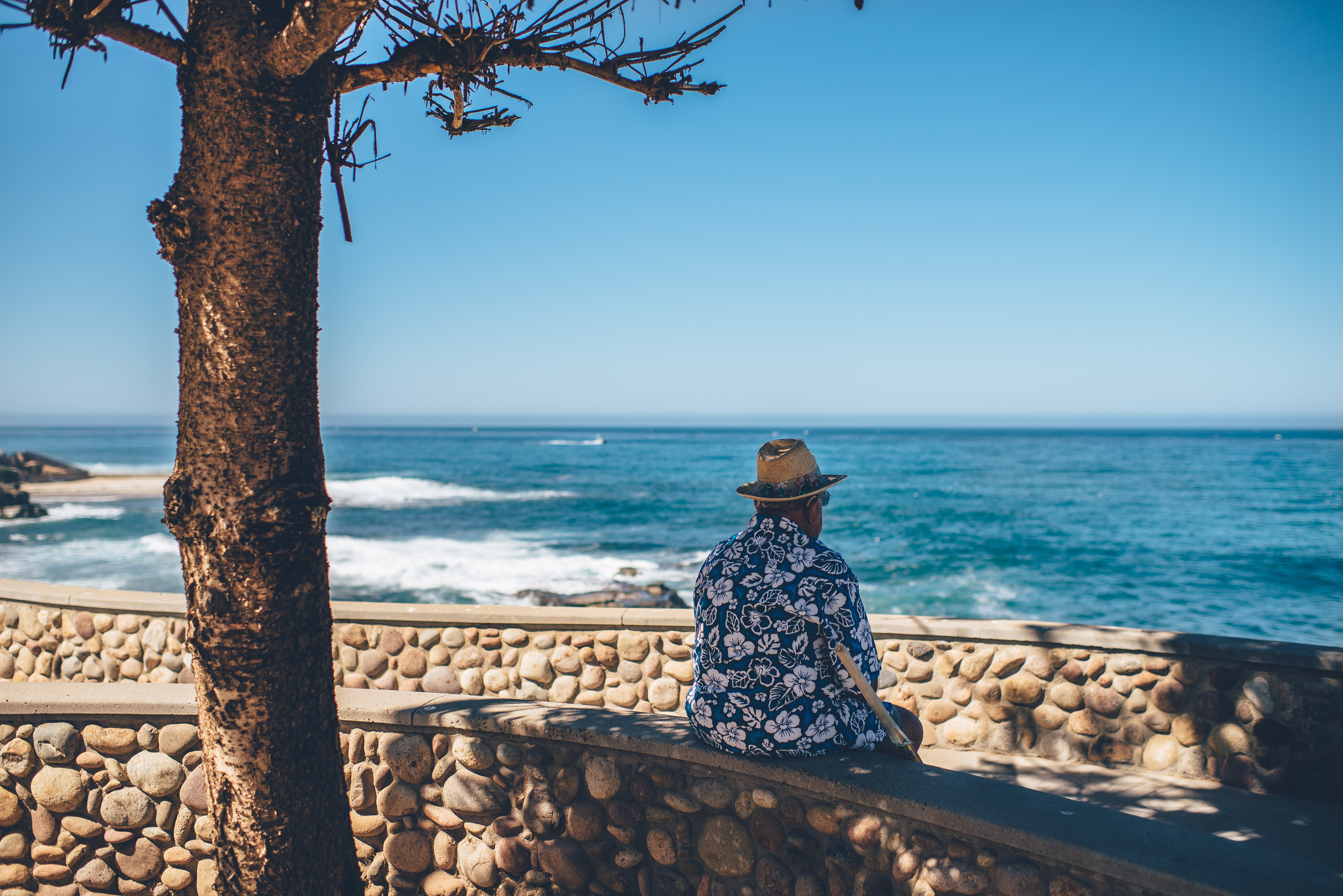 Reasons Why You Need to Head for San Diego