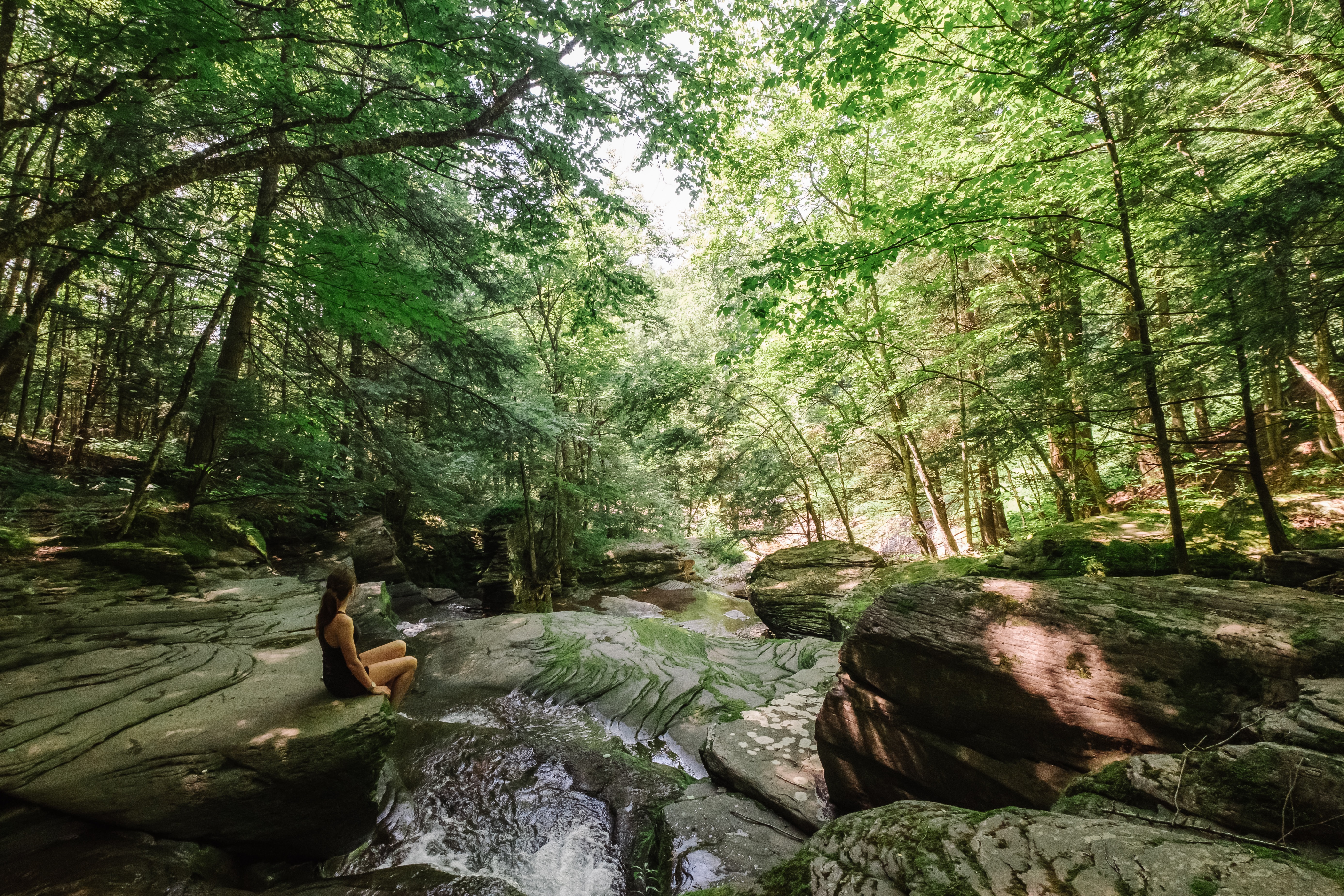 Things to Do in New York State