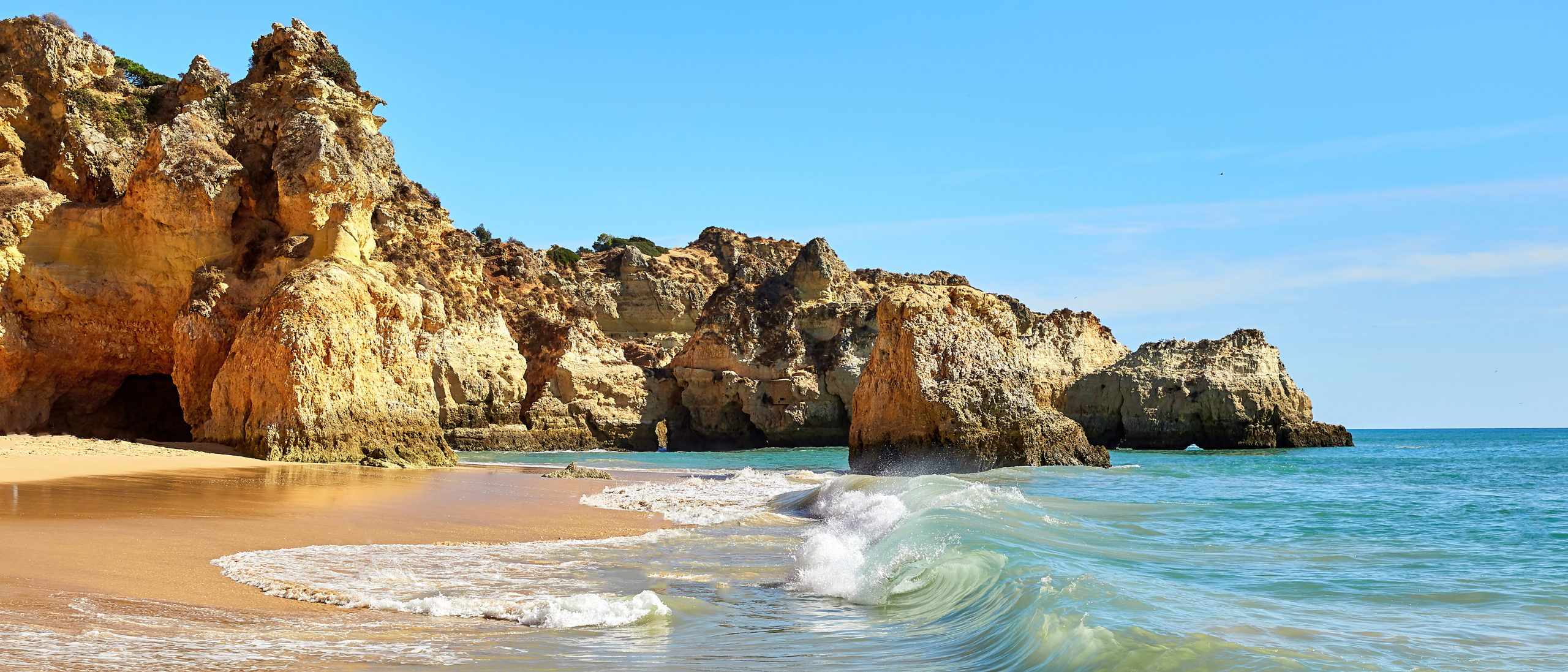 Algarve Macro 1