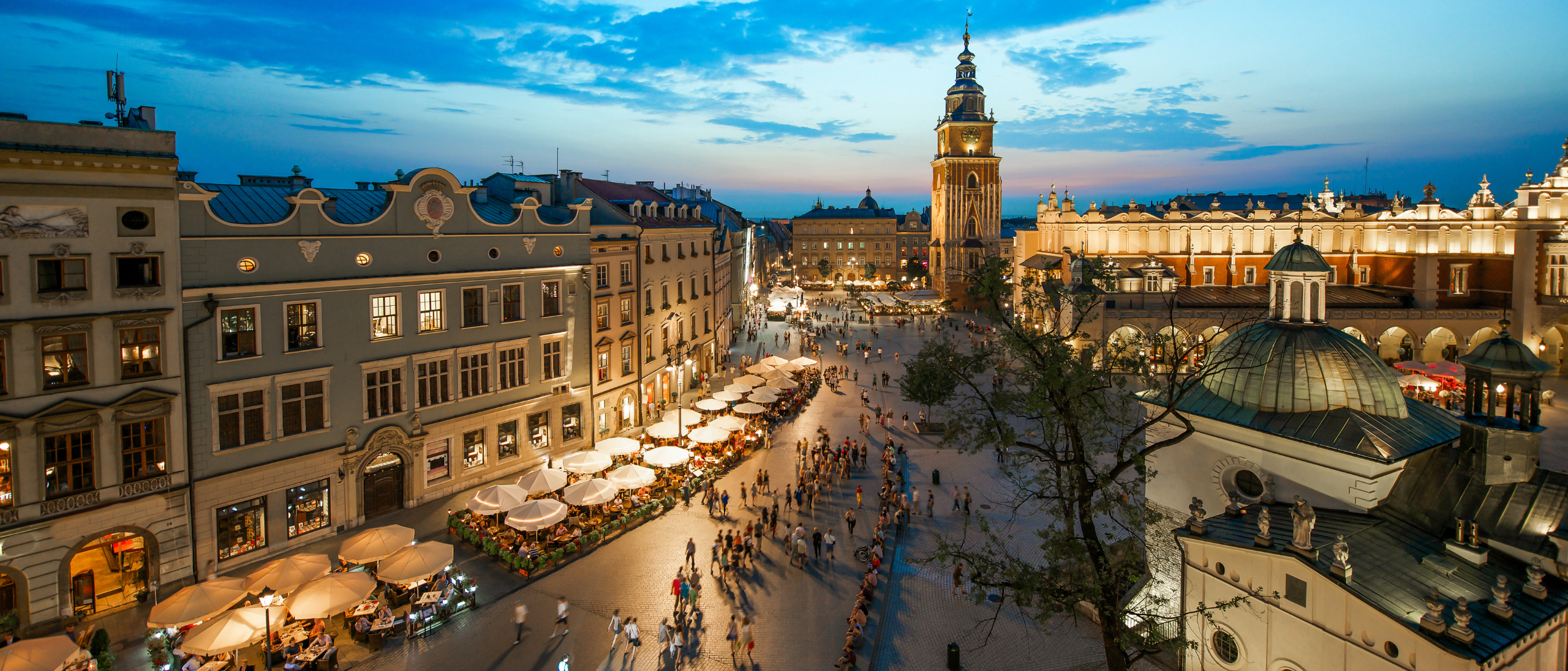 Krakow Macro 1