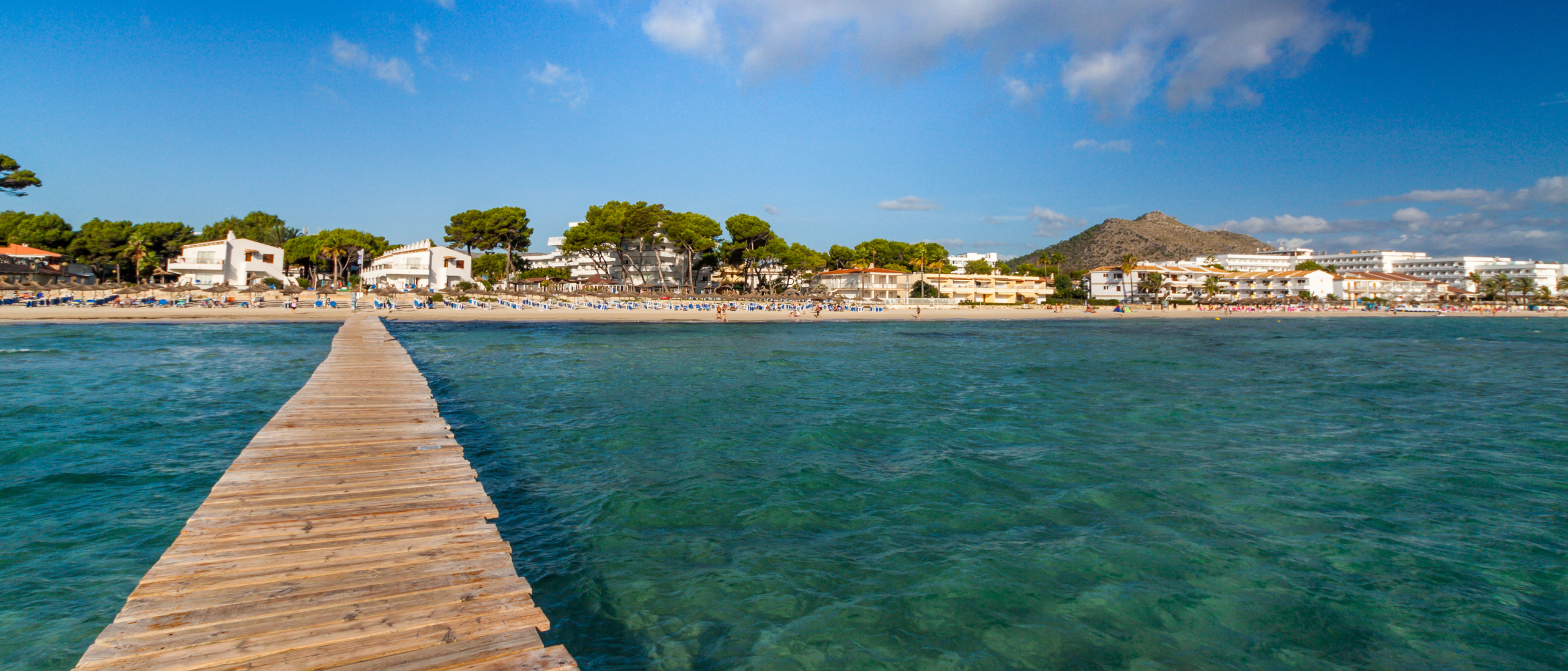 Alcudia Macro 1