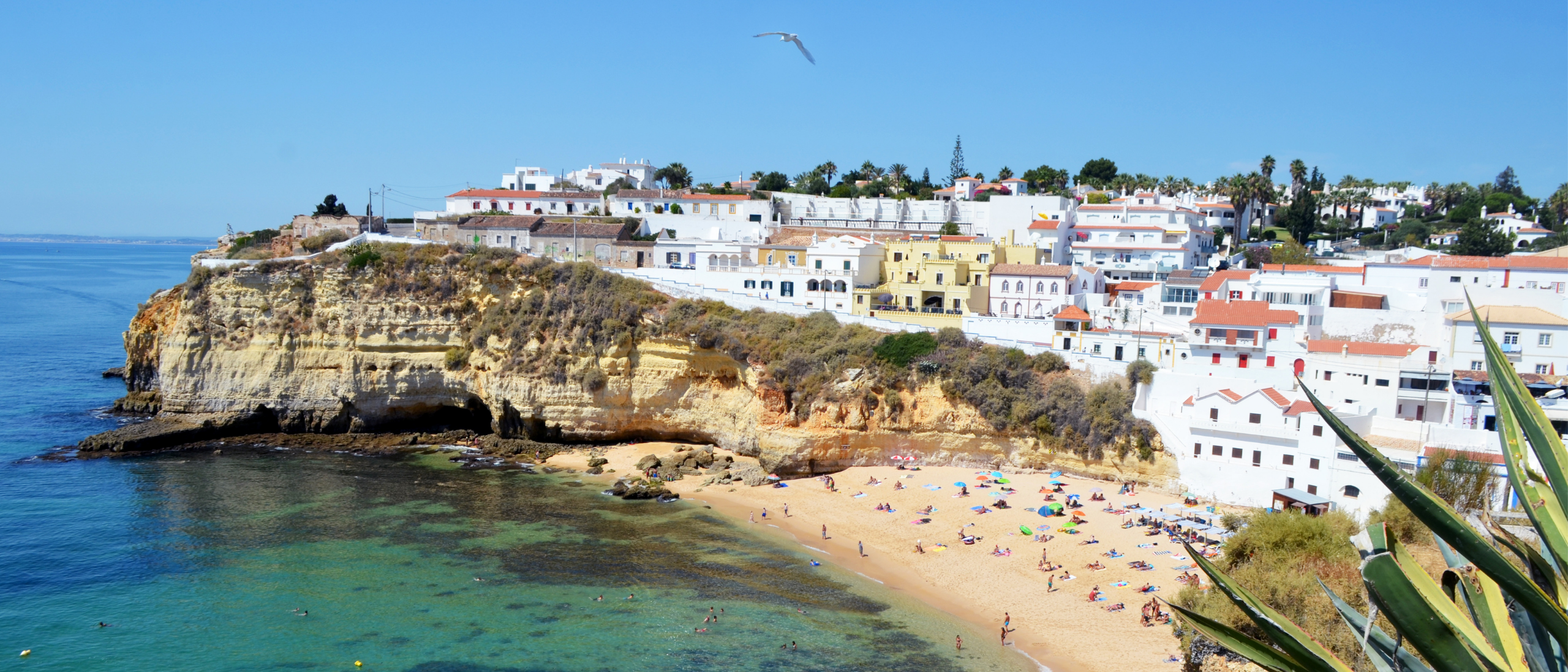 Carvoeiro Macro 1