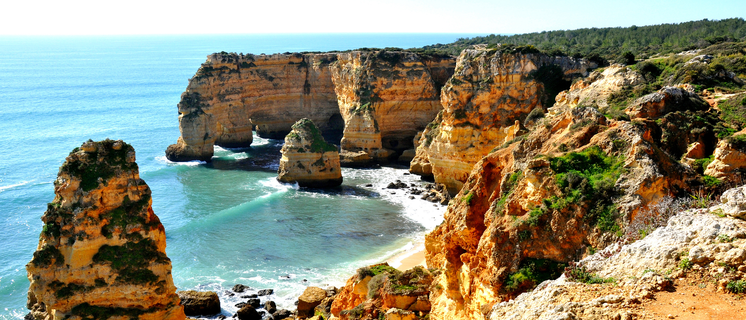Carvoeiro Macro 2