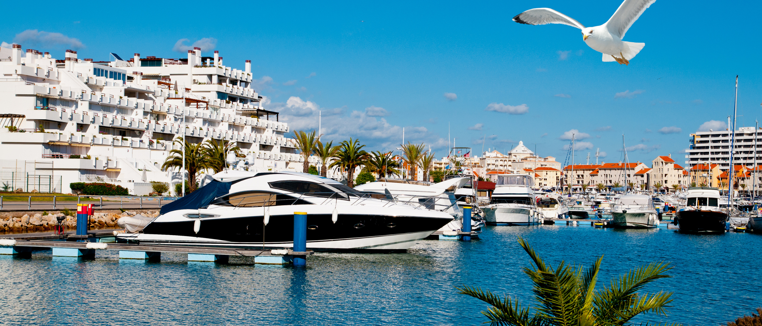 Vilamoura Macro 1