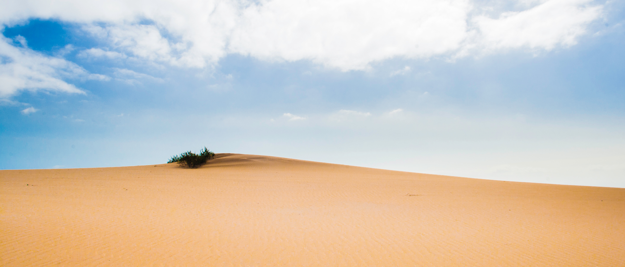 Corralejo 3