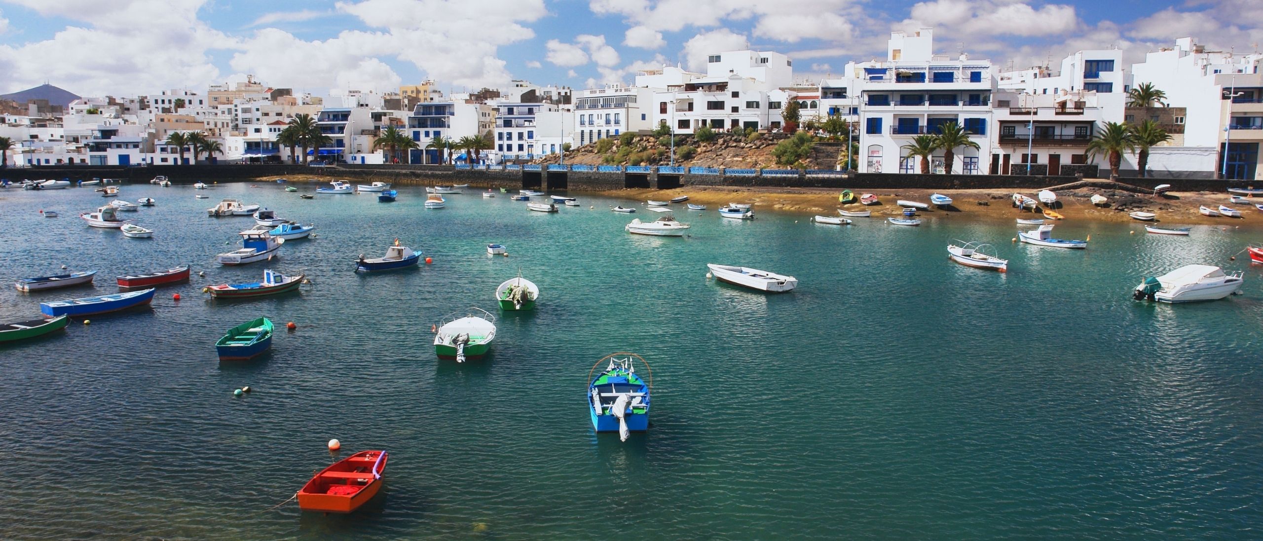 Arrecife Macro 1