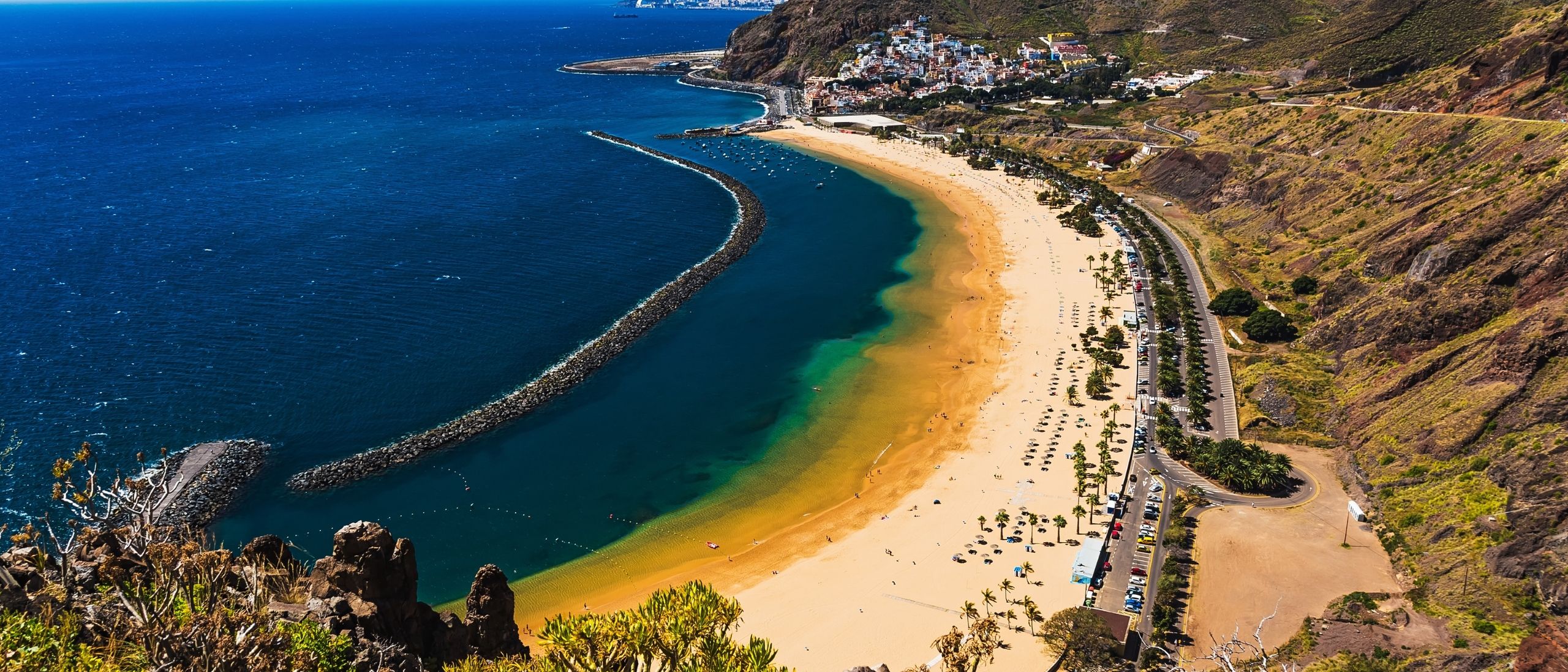 Santa Cruz Tenerife Macro 1