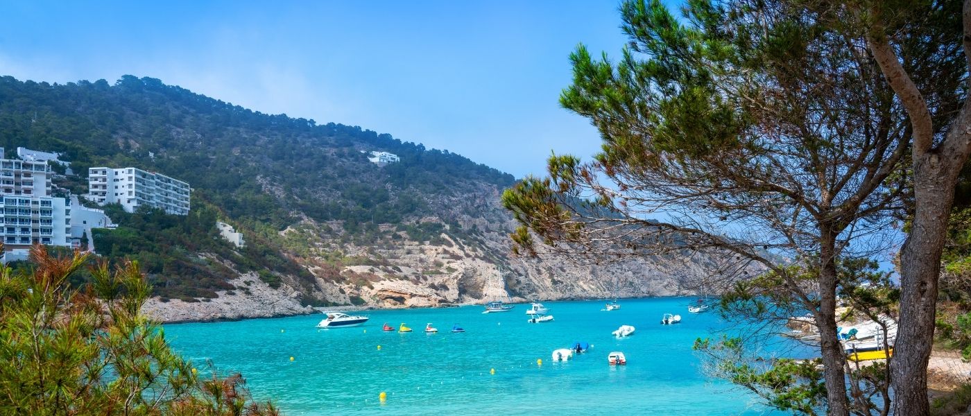 Cala Llonga Macro 1
