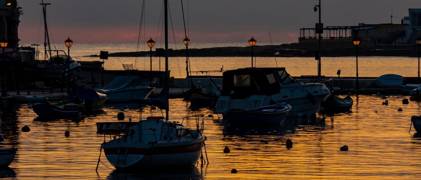St Julians Macro 2