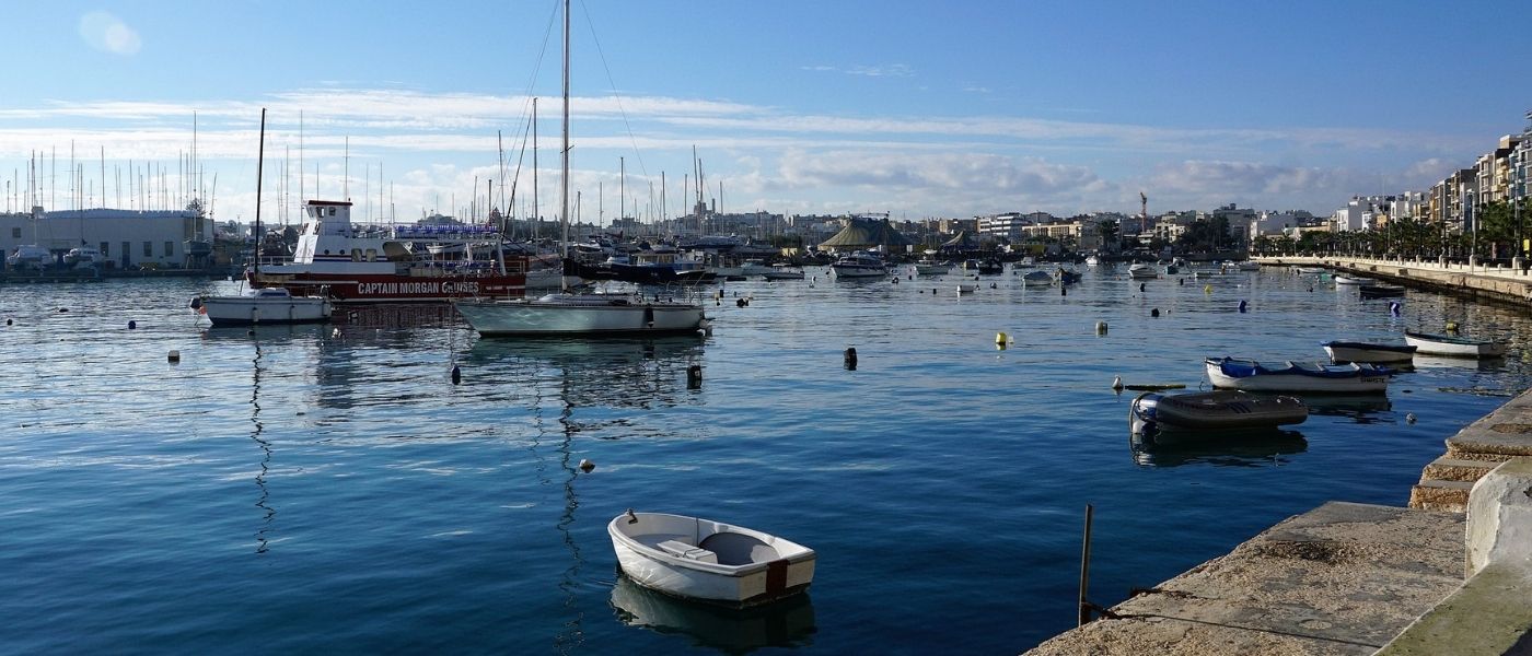Sliema Macro 3