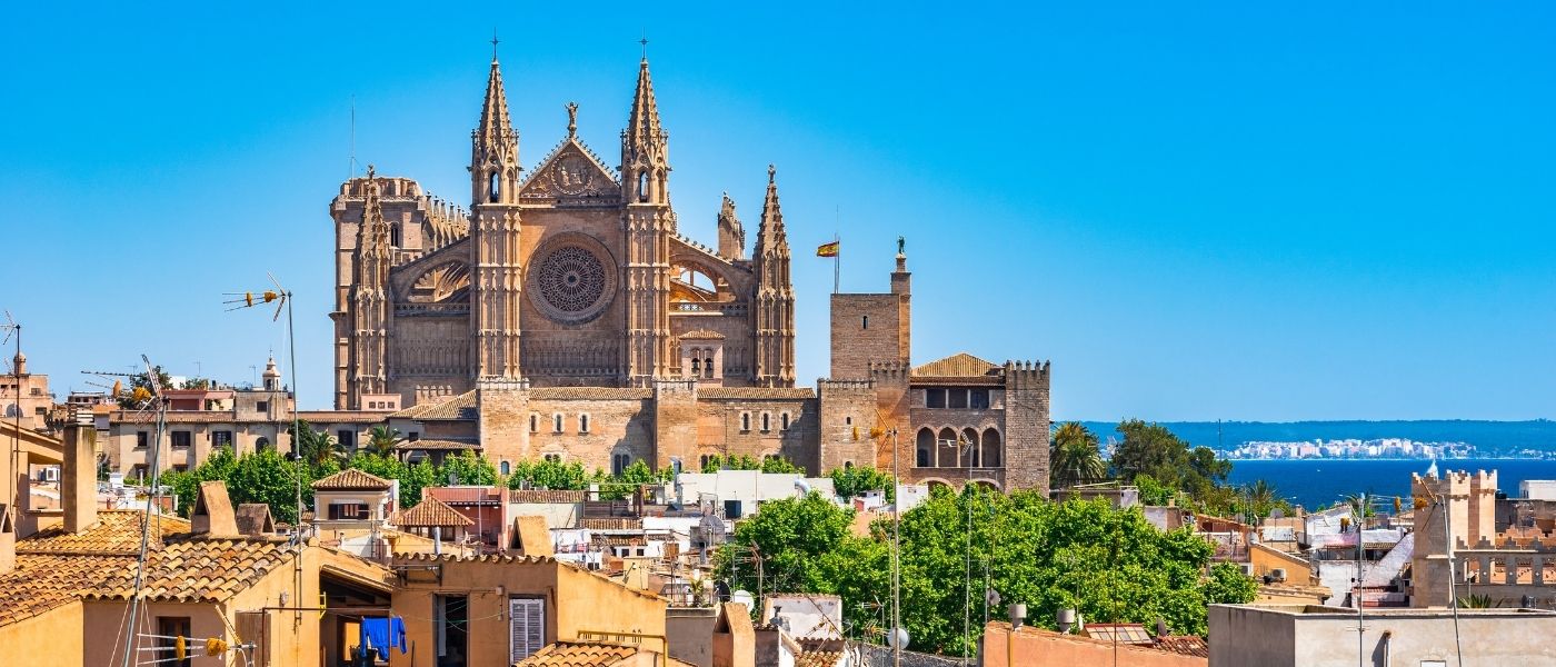 Palma Macro 1