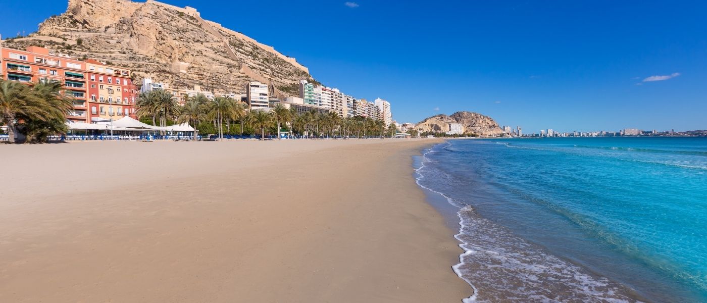 Alicante Macro 2