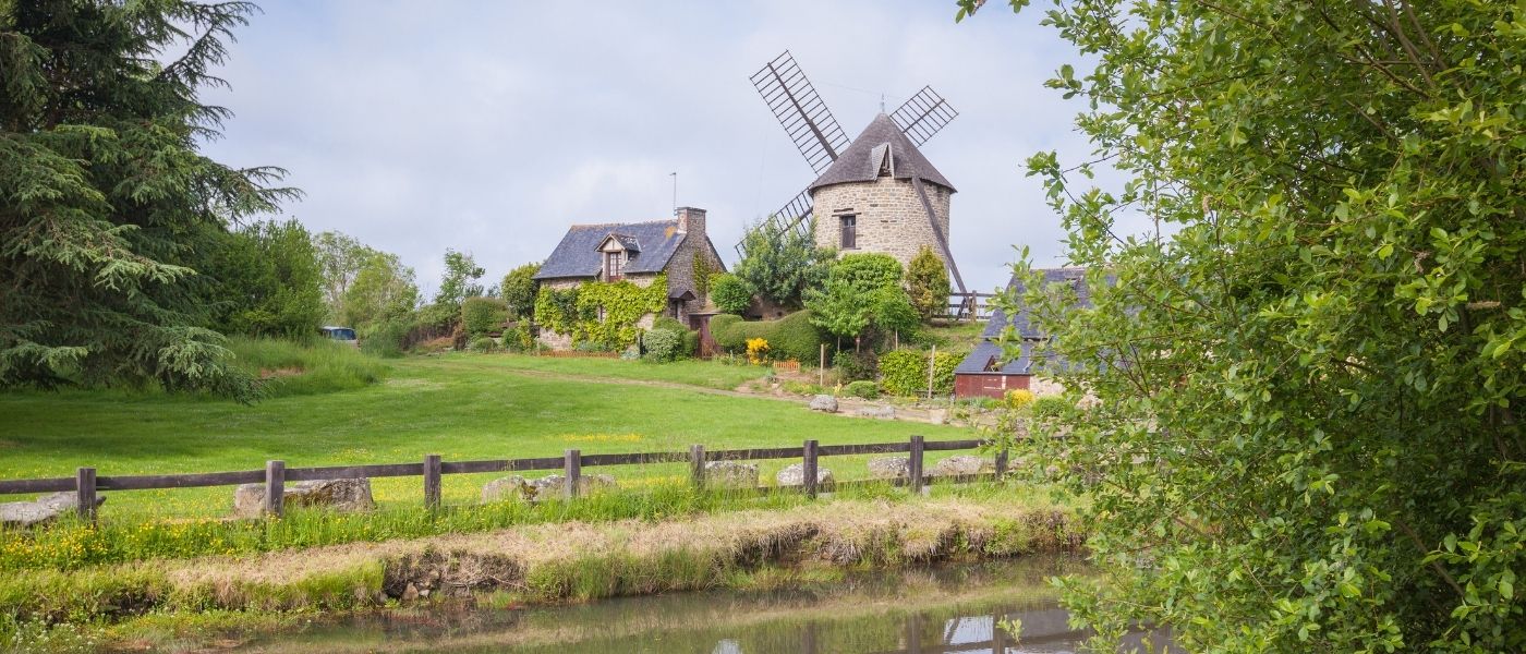 Aoifes Trip To Brittany Macro 1