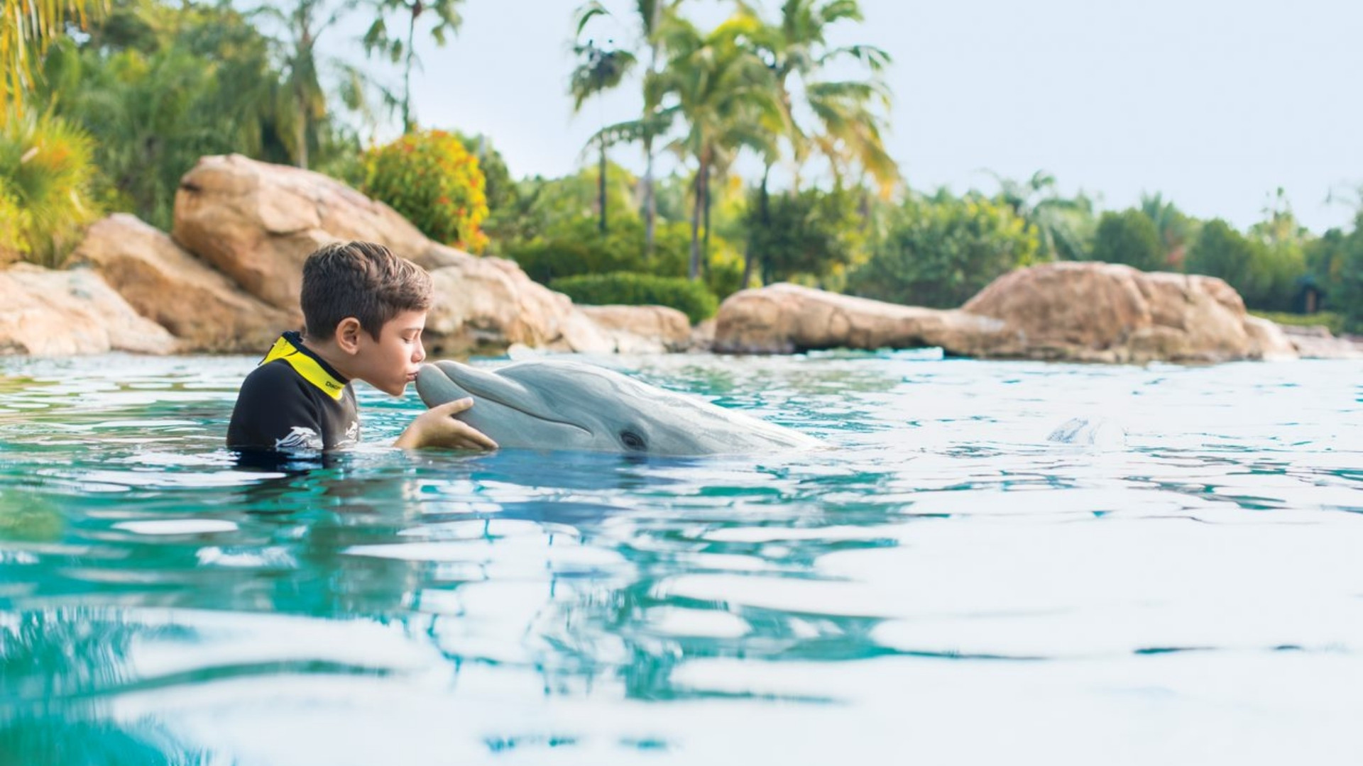 Get a SeaWorld Orlando Quote