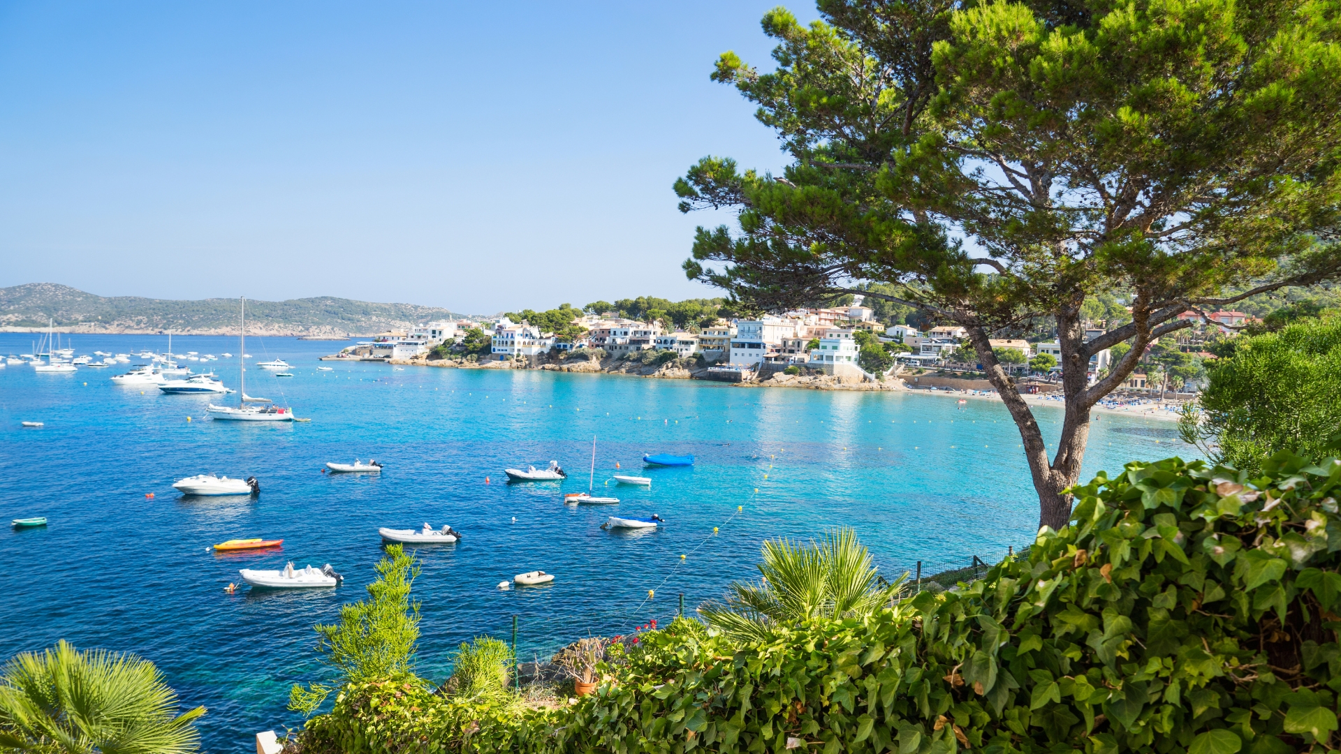 Sharon's Trip to Majorca