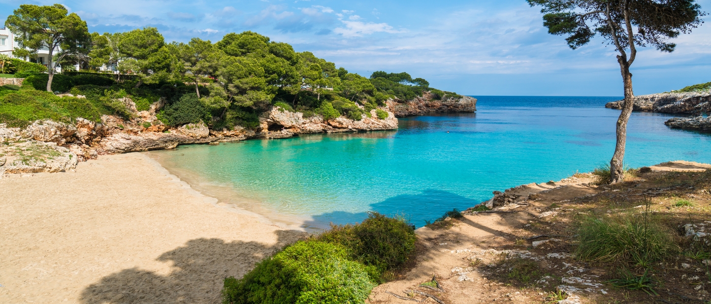Joannas Trip To Cala Dor Macro