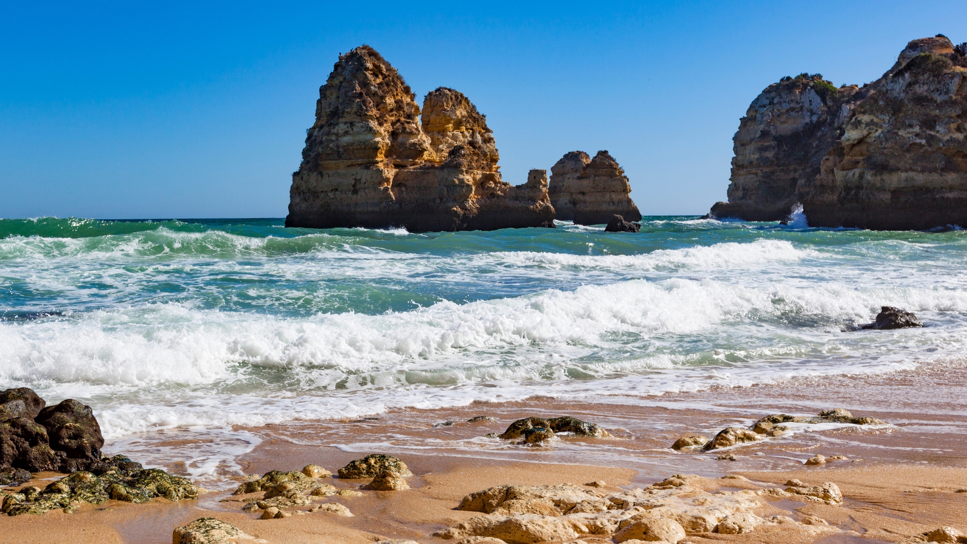 Greyce's Trip to Faro