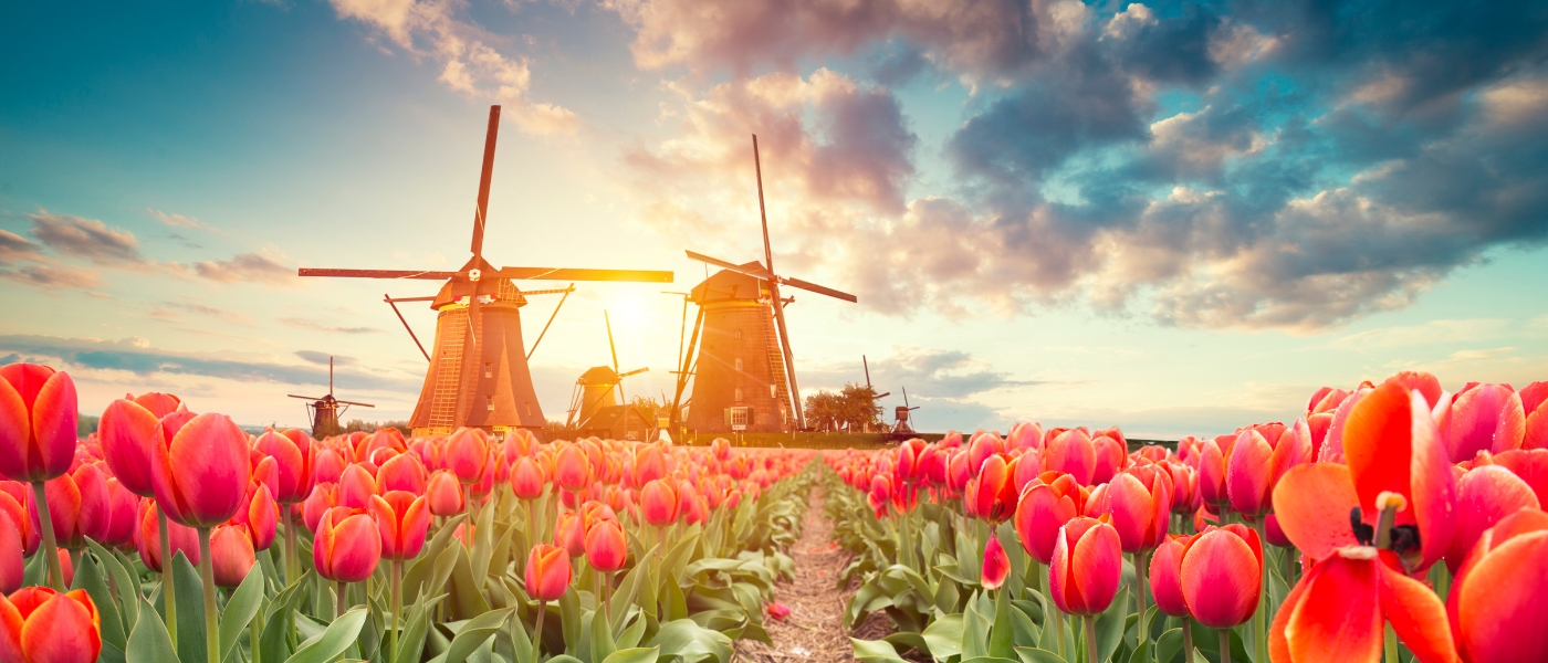 Netherlands 2