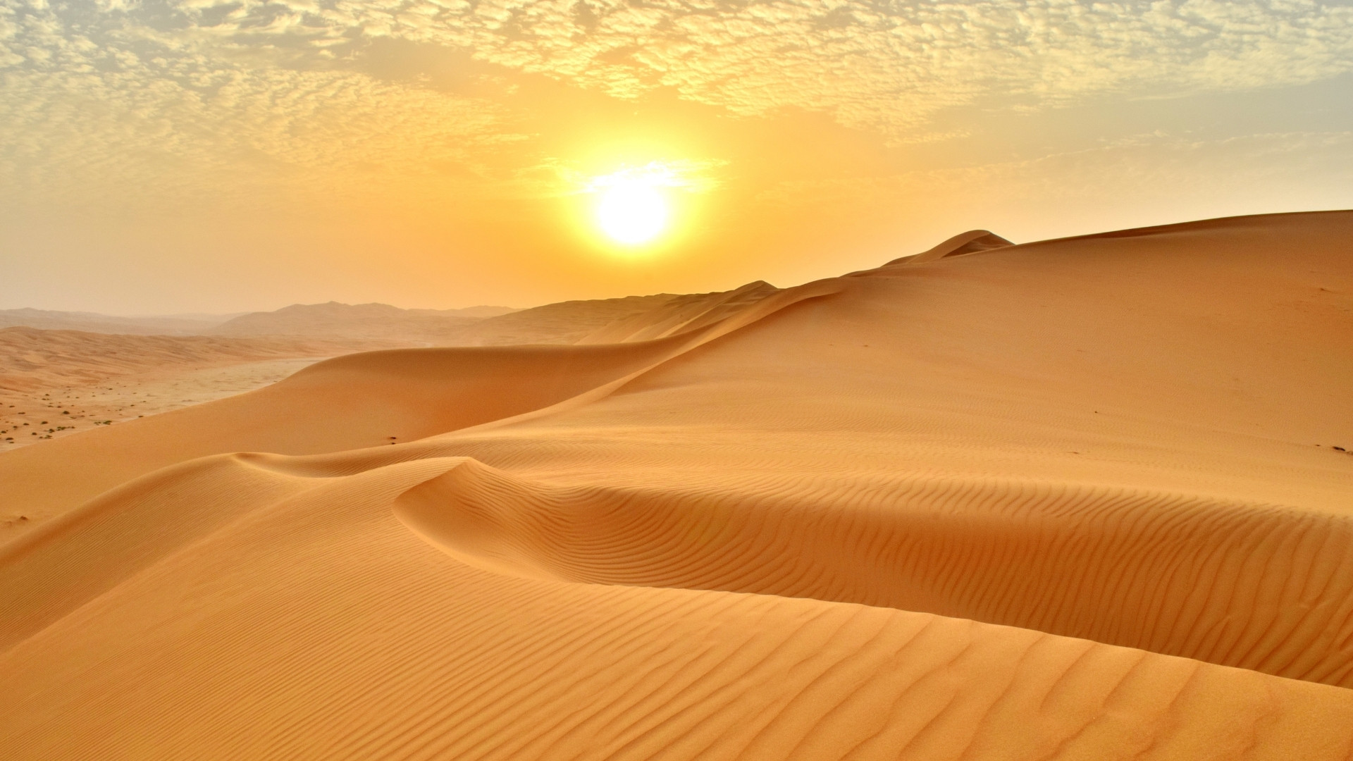 Tailormade United Arab Emirates Holidays
