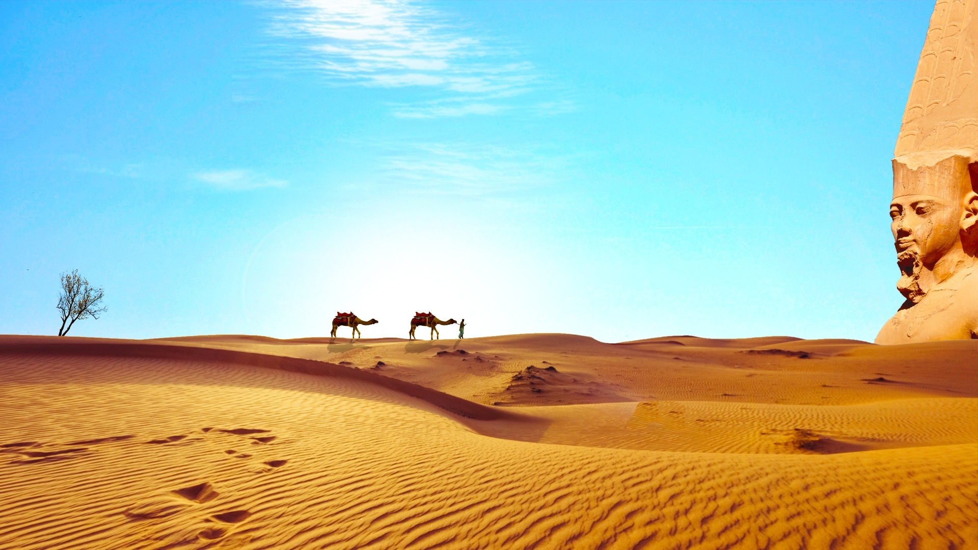 Tailormade Egypt Holidays