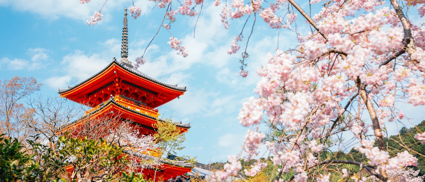 Kyoto 1 (1)