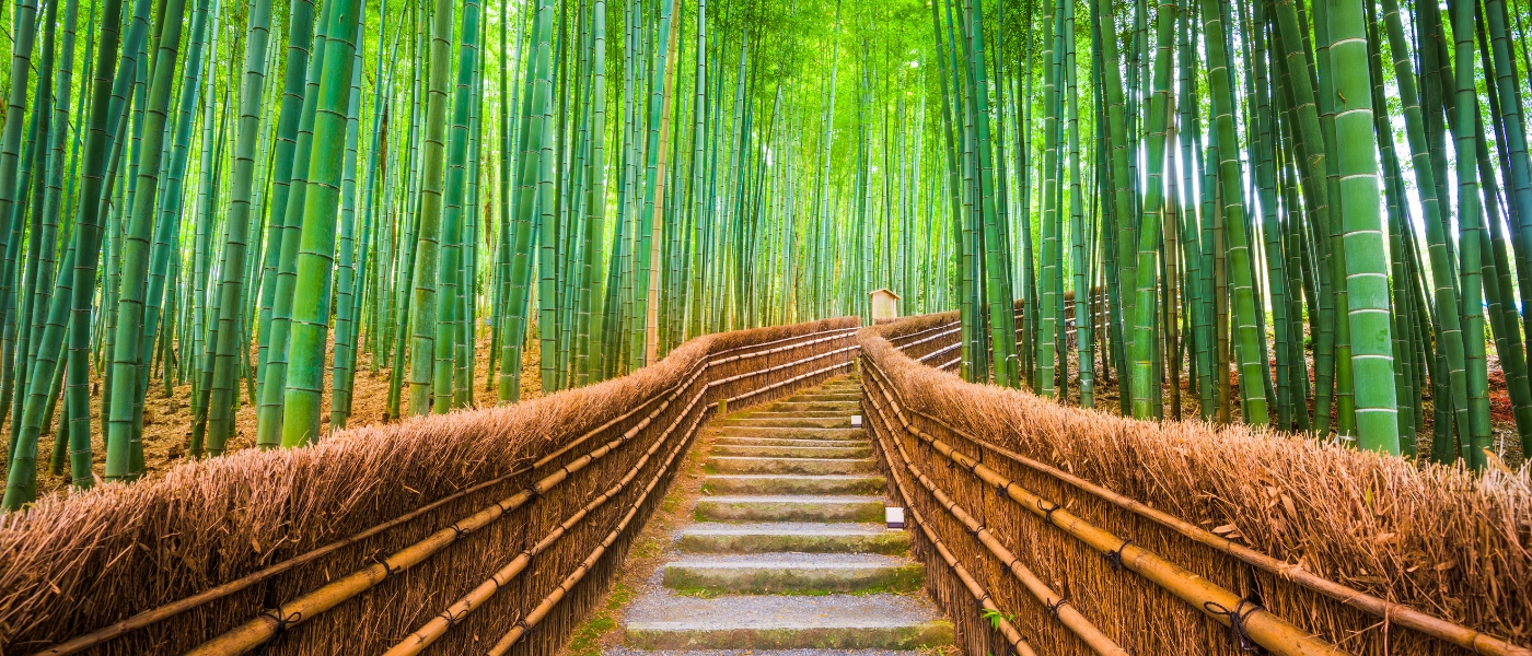 Kyoto 4