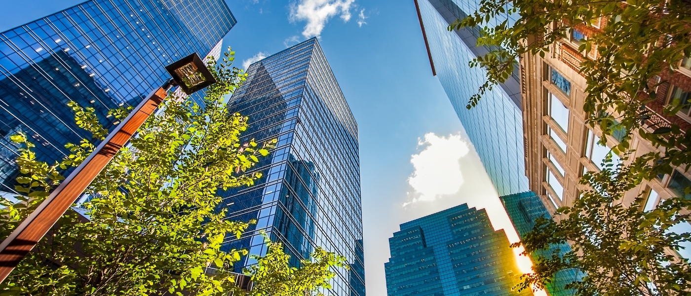 Edmonton 3