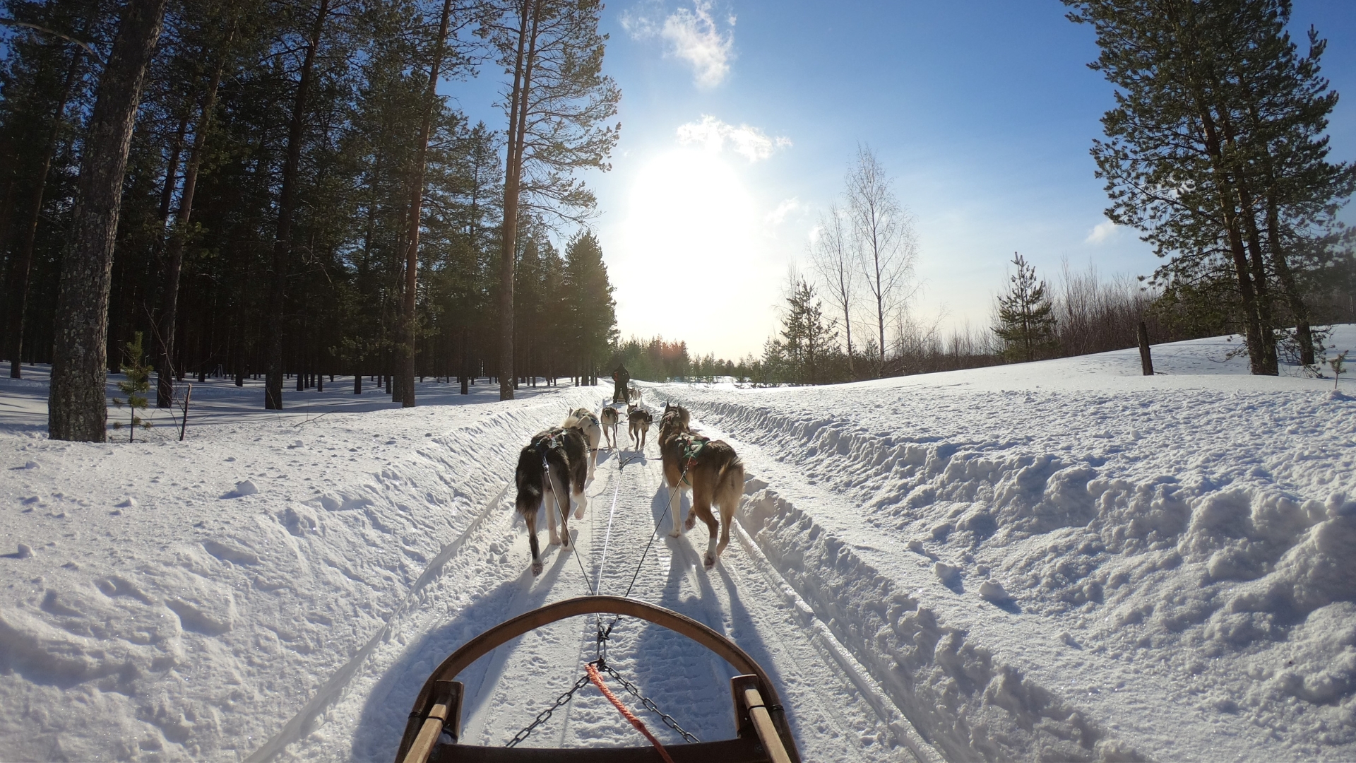 Rovaniemi Holidays
