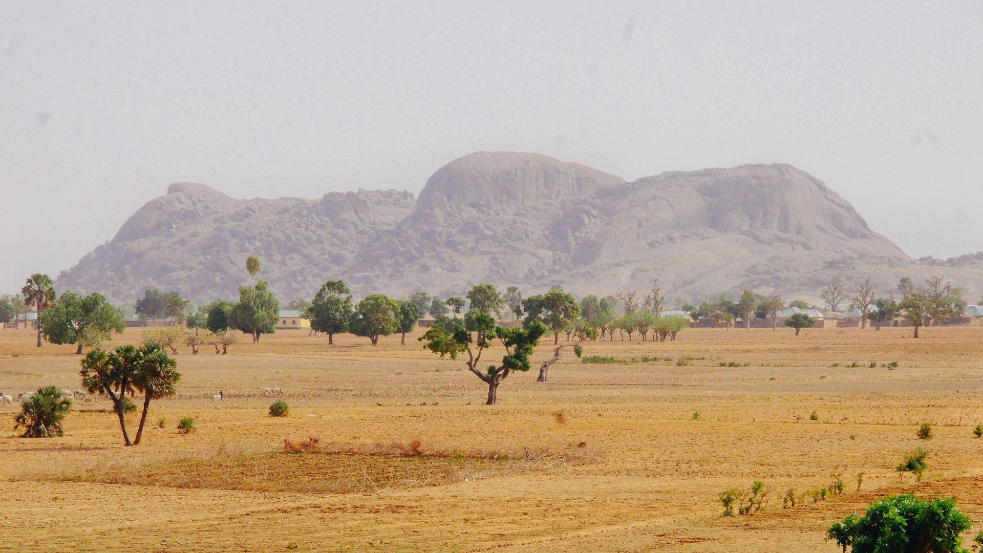 Tailormade Nigeria Holidays