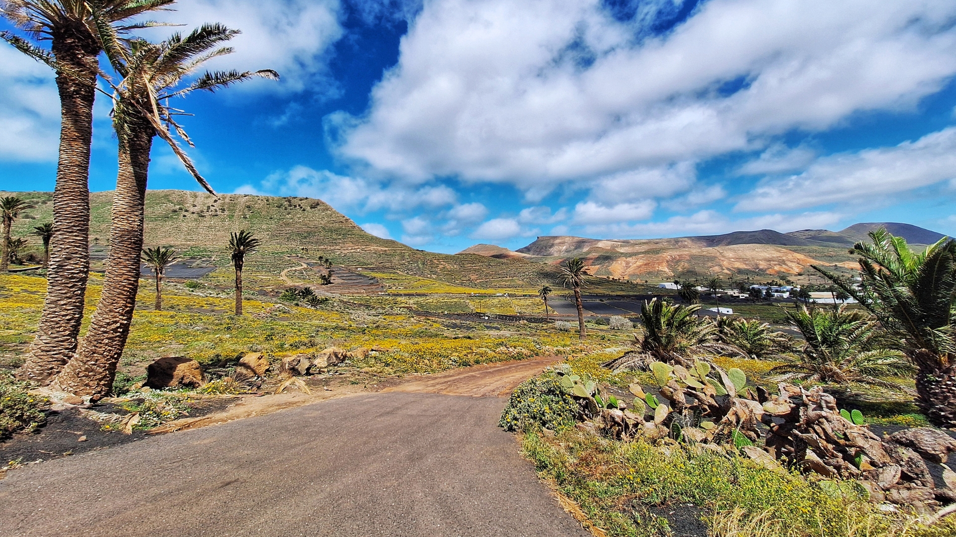 Eco-tourism Lanzarote