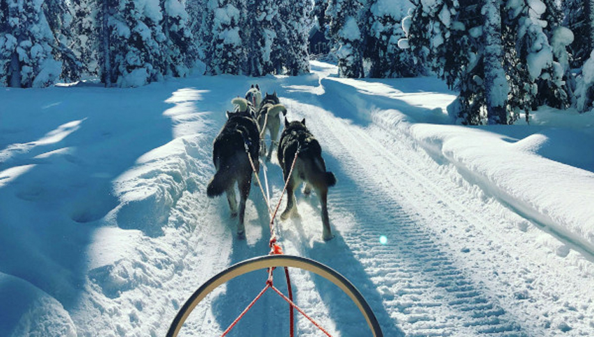 Lapland Ruka 3 Night Trip