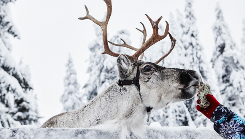 Lapland Ruka 3 Night Trip